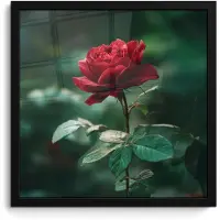 PosterMonkey Poster in lijst - Fotolijst 40x40 cm - Posters - Roos - Bladeren - Dieprood - Posterlijst zwart - Decoratie - Wanddecoratie woonkamer - Muurdecoratie slaapkamer