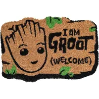 Guardians Of The Galaxy Grote Deurmat