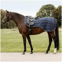 Waldhausen Economic Zweetdeken Paard Blauw Pony