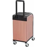 Sibel Rollercoaster Stool Case