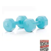 Gymstick Active Vinyl Dumbbell Set - Blauw - 2 x 1 kg