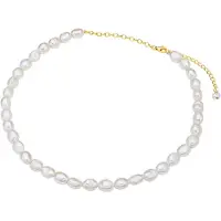 Valero Pearls Ketting goud / parelwit