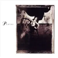 Import Surfer rosa/remasterise