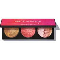 Smashbox Highlighter + Bronzer, Planetair Wangenpalet 2 Highlighters 1 Blush