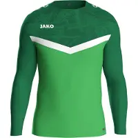 Jako Iconic Trainingstrui Groen