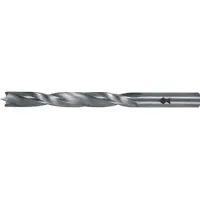 Fisch-Tools HSS houtspiraalboor | d. 10 mm totale lengte 133 mm | HSS | 1 stuk - 013C100133 013C100133