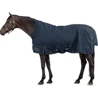 Waldhausen Waterdichte buitendeken voor paard met hoge kraag Nordic 100g