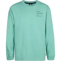 Petrol Industries Shirt 'Shenandoah' aqua