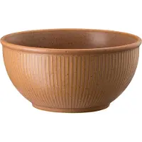 Rosenthal Thomas Clay mueslikom 70 cl Oranje