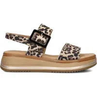 Gabor Dames Sandalen 744.4 - Bruin - Maat 37,5