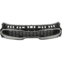 BLIC 6502-07-2173990P Radiator grill