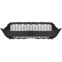 BLIC 6502-07-8140920P Ventilatiegrille, bumper