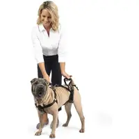 BOG Hefharnas Met Handvat En Schouderriem - Ideaal Voor Mobiliteit Van Huisdieren En Oudere Honden - Comfortabel En Ademend Materiaal - Maat M - Zwart