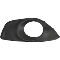BLIC 6502-07-3181912P Ventilatiegrille, bumper
