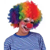Funny fashion Pruik Clown Regenboog - Regenboog - Pride