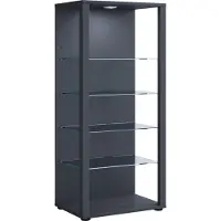 VCM Houten vitrinekast Glazen vitrinekast Staande vitrinekast Glasol lll