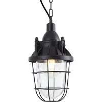 QAZQA Industriële Hanglamp Zwart met Glas - Cabin