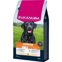 Eukanuba Hondenvoer Droog Life Care Dog Junior Large Kip 12 kg