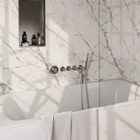 Brauer Stripe inbouw badkraan met staafhanddouche RVS geborsteld PVD