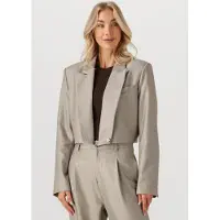 Ibana Dames Blazers Jelah Pinestripe - Taupe - Maat 42