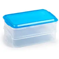 PlasticForte Lunch en Vleeswaren bewaarbakjes - transparant/blauw - 24 x 16 x 11 cm - 2 lagen - broodbeleg vershouddoos - vershoudbakjes
