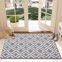 Karma Deurmat Binnen, 80 x 120cm Schoonloopmat Deurmat Antislip Entree Deurmat Wasbaar Slijtvast Vuilvangmat binnen en buiten, voor huisdeur, ingang, woonkamer