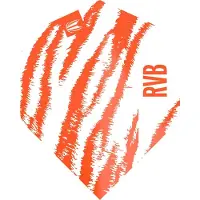 Target RVB Pro Ultra White NO2 - Dart Flights
