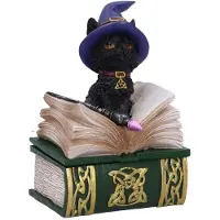 Nemesis Now - Binx Kleine Heksen Vertrouweling Zwarte Kat en Spreukenboek Doos Verzamelbaar Figuur 11cm