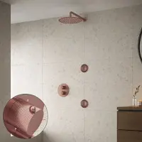 Saniclear Copper Stripes inbouw regendouche 30cm met ronde massagejets en muurarm geborsteld koper