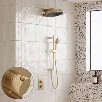 Saniclear Evolution Stripes inbouw regendouche met glijstang en 2 standen handdouche geborsteld messing - mat goud