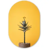 MuchoWow Muurovaal 40x60 cm - Ovale wanddecoratie Plant - Minimalistisch - Bloem - Geel - Ovalen schilderij - Muurdecoratie woonkamer - Kamer decoratie - Schilderijen - Wandcirkel