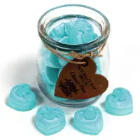 WGifts Sojawas smeltpot - Dauwbraam