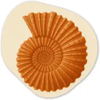MuchoWow Organische wanddecoratie 60x60 cm - Organisch schilderij Schelp - Oranje - Ribbels - Muurdecoratie woonkamer - Kamer decoratie - Schilderijen - Muurcirkel aesthetic