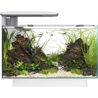Superfish quadro 40 pro wit