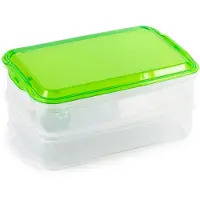 PlasticForte Lunch en Vleeswaren bewaarbakjes - transparant/groen - 24 x 16 x 11 cm - 2 lagen - broodbeleg vershouddoos - vershoudbakjes
