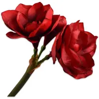Silk-ka Kunstbloem-Zijden Bloem-Kunsttak Amaryllis Steel Rood-Groen 61 cm
