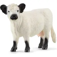Schleich Farm World - Galloway-Kuh - H: 9 cm - 13960 - - One Size - Spielzeugtiere