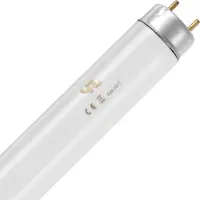Schiefer G13 T8 TL-Buis | 36W 3000K 3100lm 830 | 1213mm