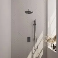 Brauer Stripe inbouw regendouche met 25cm hoofddouche, met gebogen muurarm, glijstang en staafhanddouche set 20 gunmetal geborsteld PVD