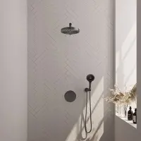 Brauer Stripe inbouw regendouche rond met 25cm hoofddouche, rechte muurarm en 3 standen handdouche set 40 gunmetal geborsteld PVD