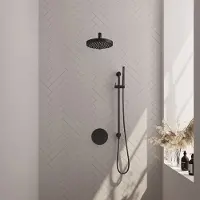 Brauer Stripe inbouw regendouche rond met 25cm hoofddouche, rond met rechte muurarm, glijstang en staafhanddouche set 43 zwart mat
