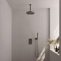 Brauer Stripe inbouw regendouche met 25cm hoofddouche, plafondarm en staafhanddouche set 15 gunmetal geborsteld PVD