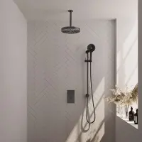 Brauer Stripe inbouw regendouche met 25cm hoofddouche, met plafondarm, glijstang en 3 standen handdouche set 24 gunmetal geborsteld PVD