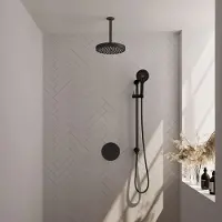 Brauer Stripe inbouw regendouche rond met 25cm hoofddouche, rond met plafondarm, glijstang en 3 standen handdouche set 48 zwart mat