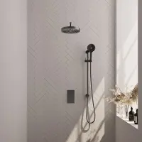 Brauer Stripe inbouw regendouche met 25cm hoofddouche, met gebogen muurarm, glijstang en 3 standen handdouche set 23 gunmetal geborsteld PVD