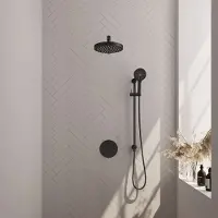 Brauer Stripe inbouw regendouche rond met 25cm hoofddouche, rond met rechte muurarm, glijstang en 3 standen handdouche set 46 zwart mat
