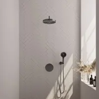 Brauer Stripe inbouw regendouche rond met 25cm hoofddouche, gebogen muurarm en 3 standen handdouche set 41 gunmetal geborsteld PVD