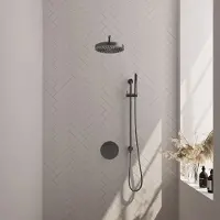 Brauer Stripe inbouw regendouche rond met 25cm hoofddouche, rond met gebogen muurarm, glijstang en staafhanddouche set 44 gunmetal geborsteld PVD