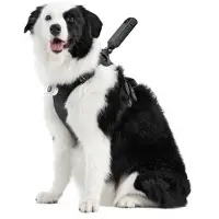 Insta360 Pet Harness Mount Size L