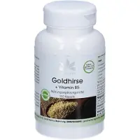 WARNKE Vitalstoffe | Goudgierst + vitamine B5 250 St